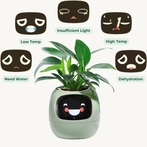 AI Botanist Planter - Smart Sensors & Display